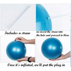 Ballons de gym rose bleu Slosy 25 cm 
