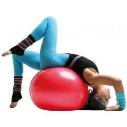 Ballon de gym rouge ou gris Sveltus 65 cm 