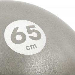 Ballon de gym gris Reebok 55 cm - 75 cm 