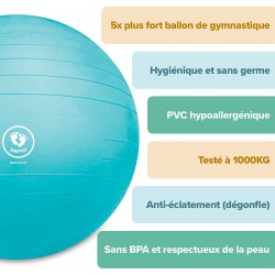 Ballon de gym BABYGO 65 cm - 75 cm 