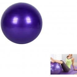 Ballon de gym Nider 45 cm 
