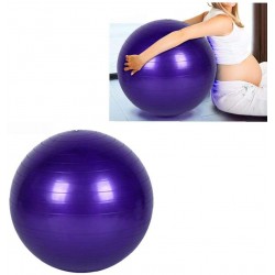 Ballon de gym violet shentaotao 45 cm 