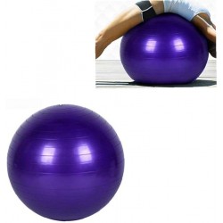 Ballon de gym violet shentaotao 45 cm 