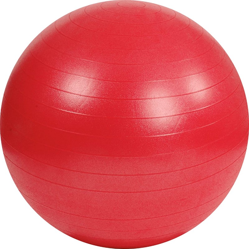 Ballon de gym MSD Europe bvba 55 cm - 65 cm - 75 cm 