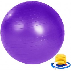 Ballon de gym violet ZoneYan 55 cm/65 cm/75 cm 