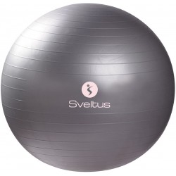 Ballon de gym gris Sveltus 65 cm 