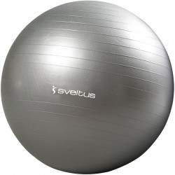 Ballon de gym gris Sveltus 65 cm 