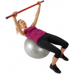 Ballon de gym gris Sveltus 65 cm 