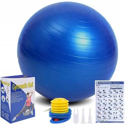 Ballon de gym bleu flintronic 55 cm/65 cm 