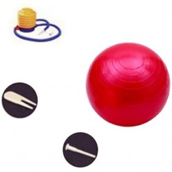 Ballon de gym bleu/gris/rose/rouge/violet avec Pompe à Pied ZEVONDA 55 cm/65 cm/75 cm 
