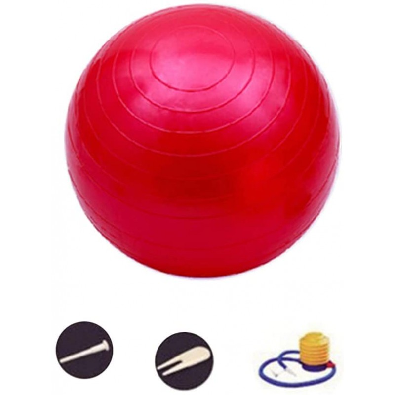 Ballon de gym bleu/gris/rose/rouge/violet avec Pompe à Pied DAZISEN 45 cm/55 cm/65 cm/75 cm 