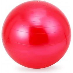 Ballon de gym bleu/jaune/rose/rouge/vert/violet TopElec 55 cm/65 cm 