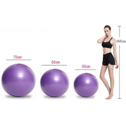 Ballon de gym bleu/violet joofang 55 cm/65 cm/75 cm/85 cm 