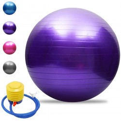 Ballon de gym bleu/rose TOMSHOO 55 cm/65 cm/75 cm 