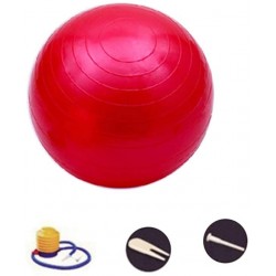 Ballon de gym rouge/bleu/rose/gris/violet SENDILI 55 cm/65 cm/75 cm/85 cm 