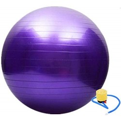 Ballon de gym gris/bleu/violet fourseasons 45 cm/55 cm/65 cm/75 cm 