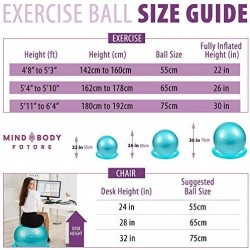 Ballon de gym bleu Mind Body Future 55 cm/65 cm/75 cm 
