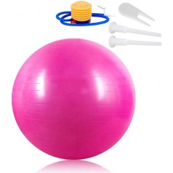 Ballon de gym rose Amasawa 65 cm 